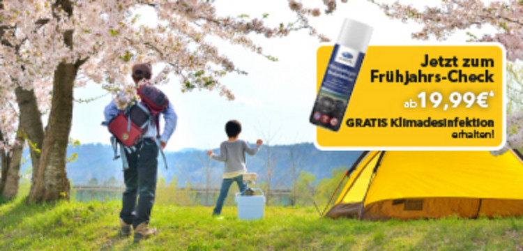 Frühjahrs-Check mit GRATIS Klimadesinfektion.*